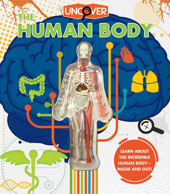 Uncover the Human Body by Luann Colombo: Hardcover; 16 pages / English