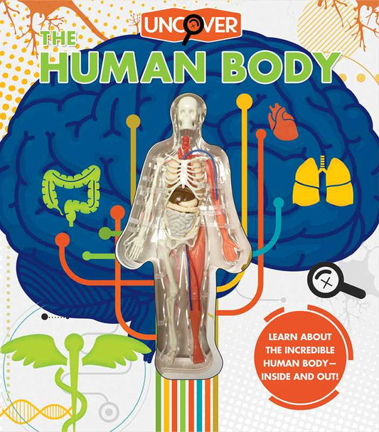 Uncover the Human Body by Luann Colombo: Hardcover; 16 pages / English