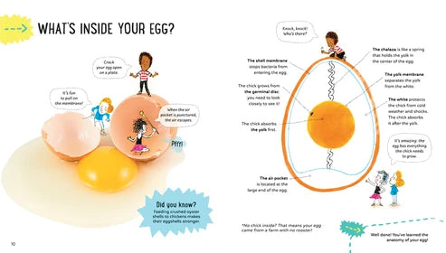 There’s Science in… Complete Children’s Science Book Set Bundle