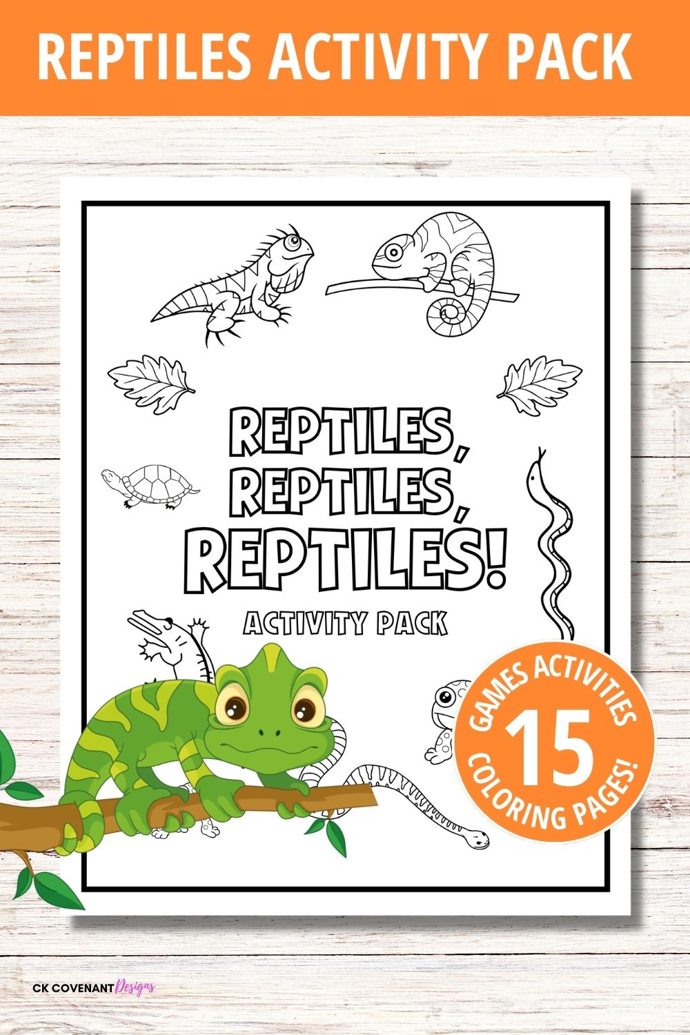 Reptile Activity Pack