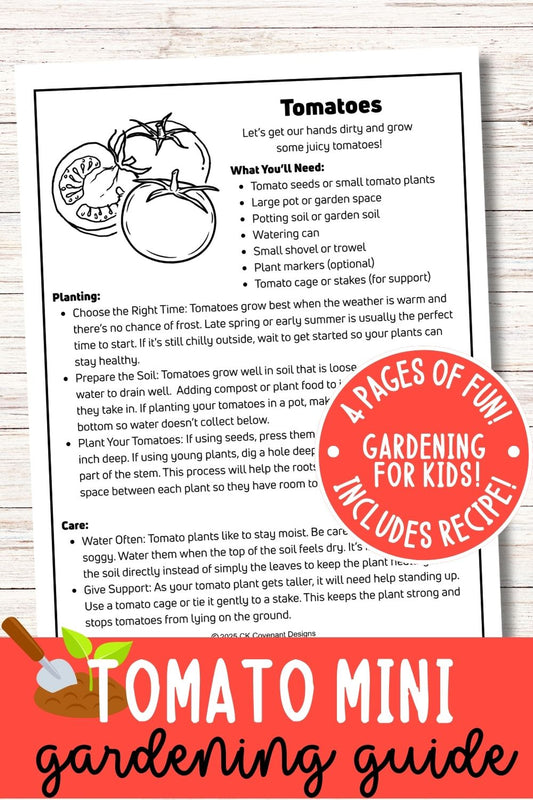 Tomato Mini Gardening Guide