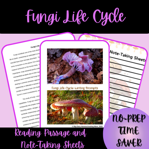 High School Fungi Life Cycle Science Reading Passage and Note-Taking Sheets