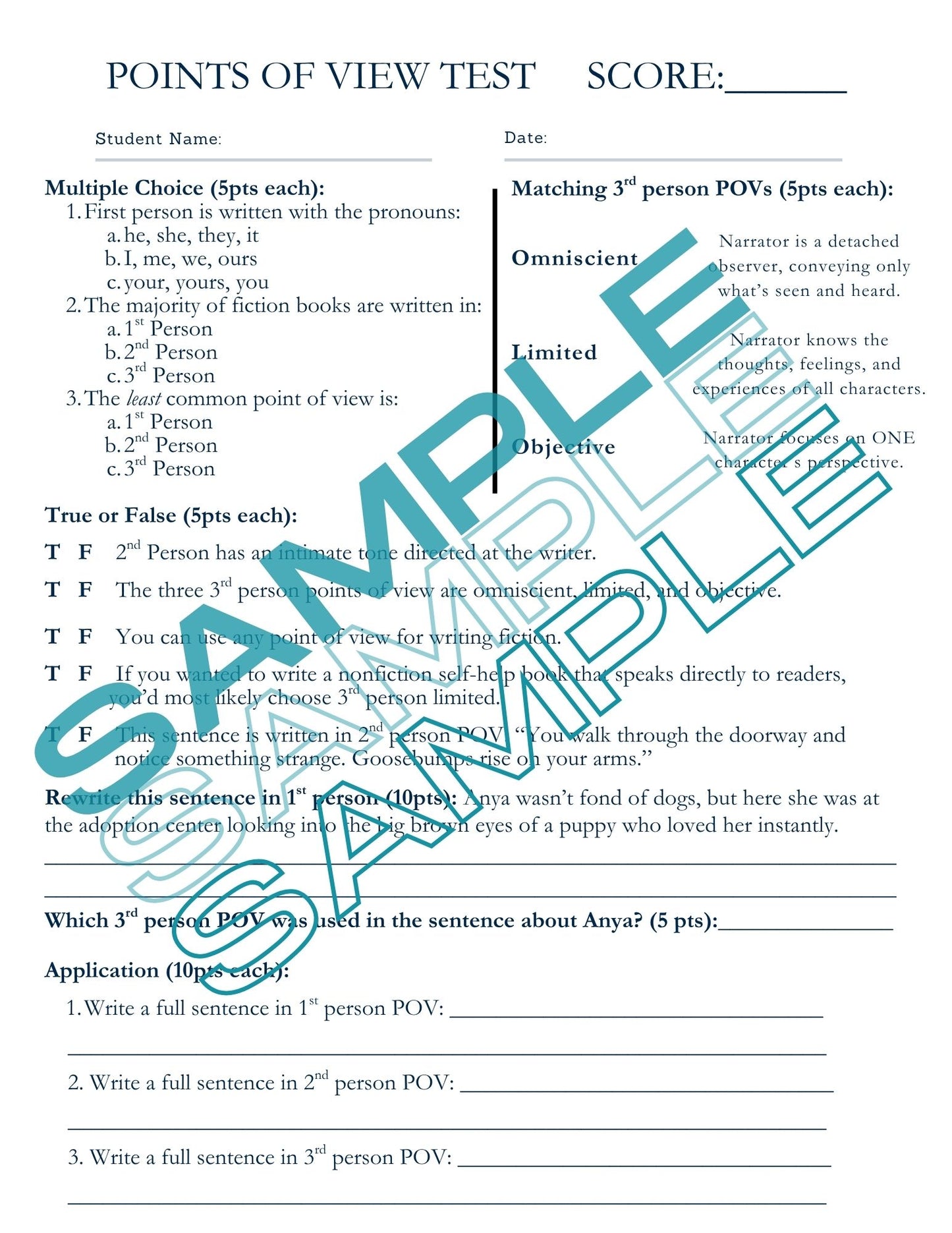 Point of View/Book Report Bundle