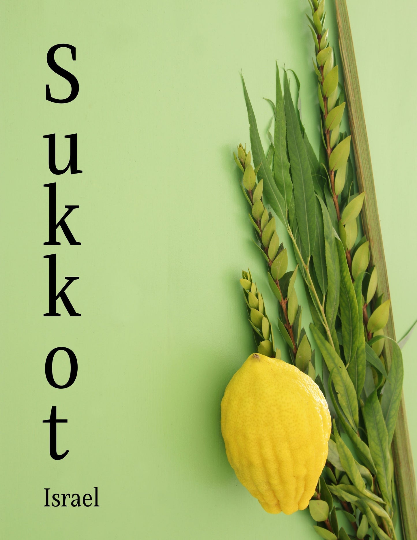 NoW Plus December Bundle!