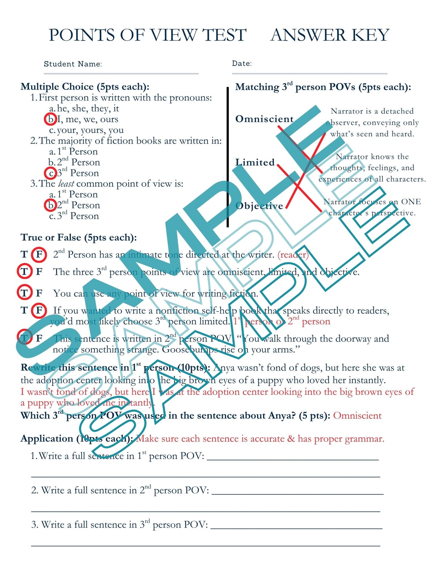 Point of View/Book Report Bundle