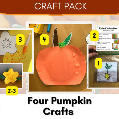 Pumpkin Life Cycle Crafts and Activities for Fall