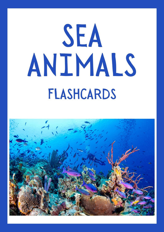 Sea Animal Flashcards: Large 20-Pack