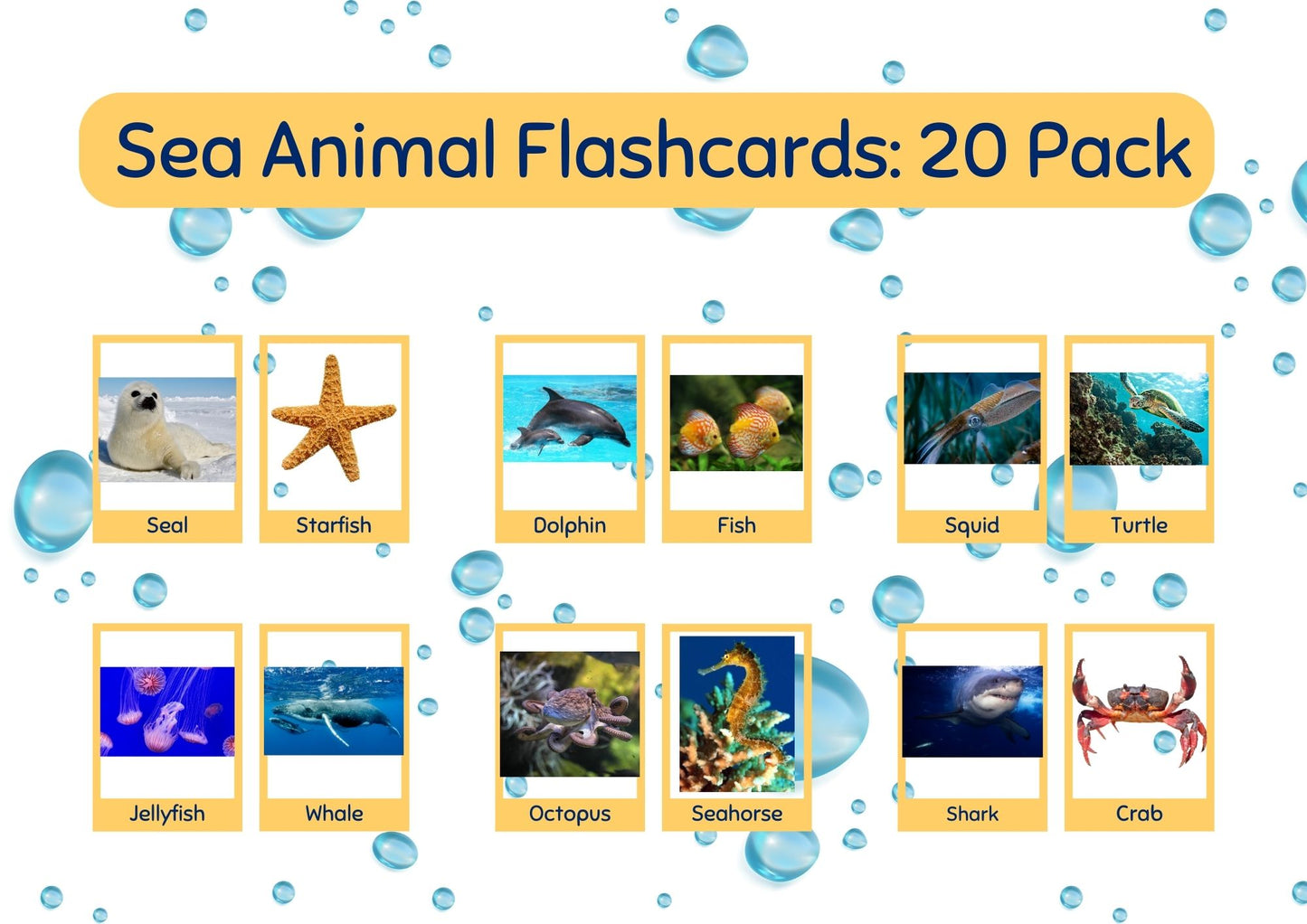 Sea Animal Flashcards: 20 Pack