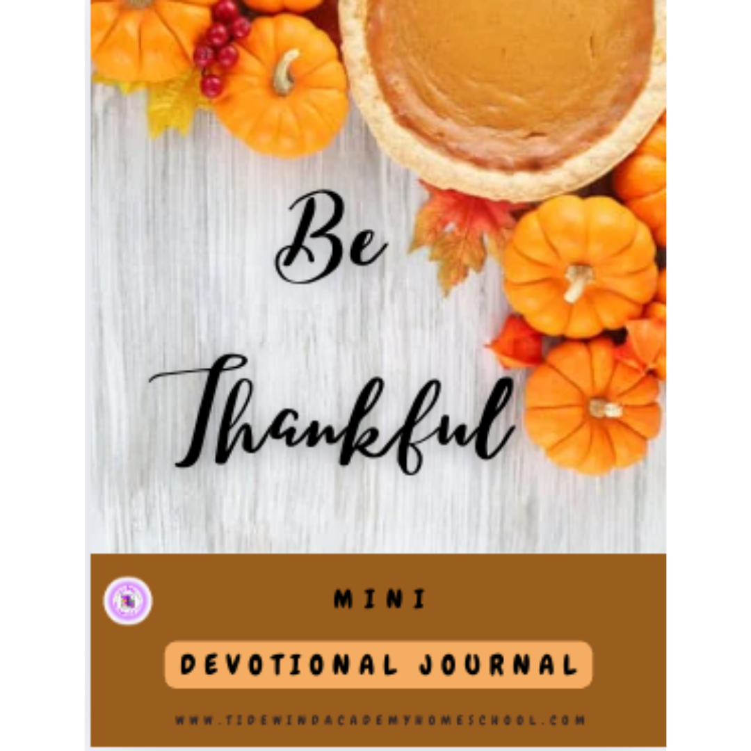 Be Thankful Teen Mini-Devotional Journal