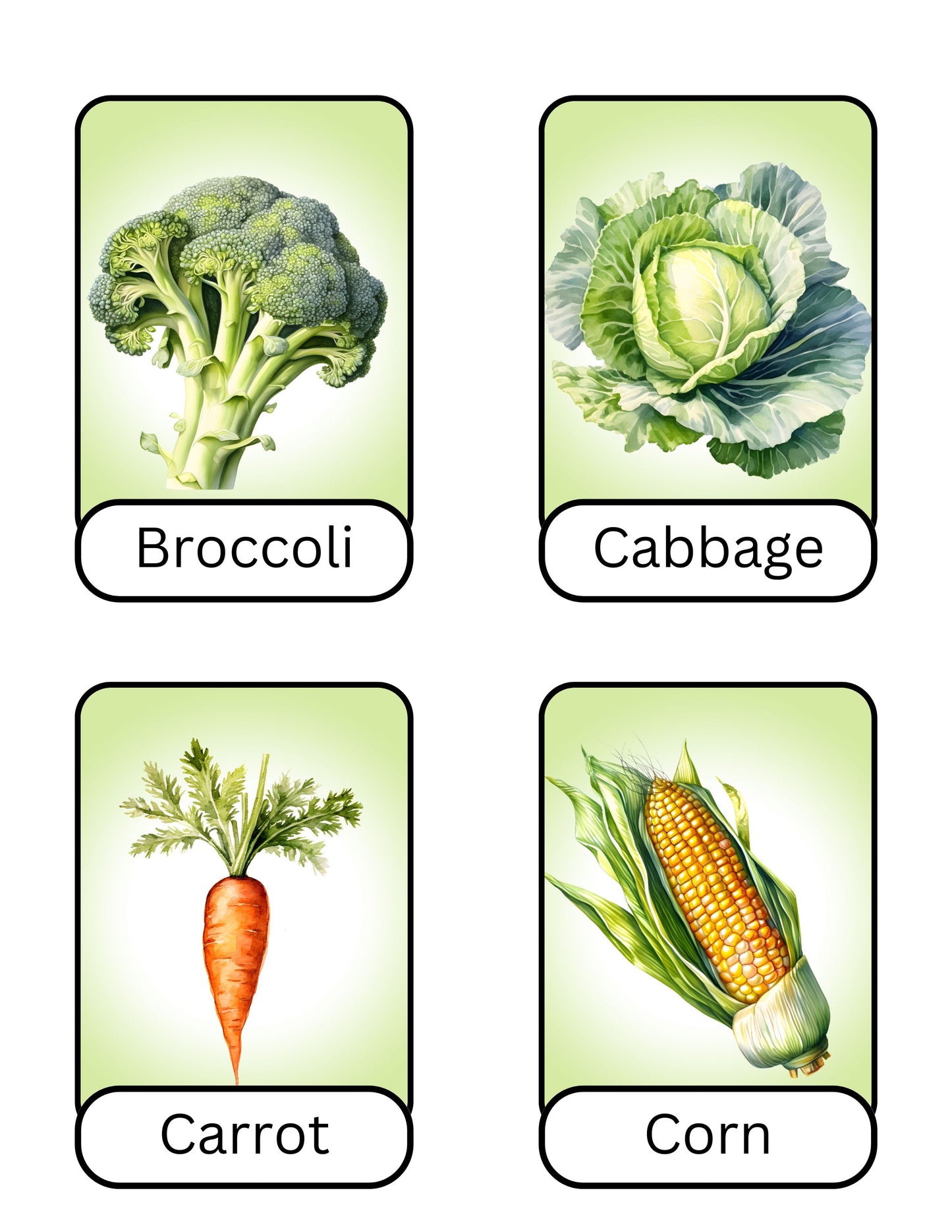 Vegetable Flashcards
