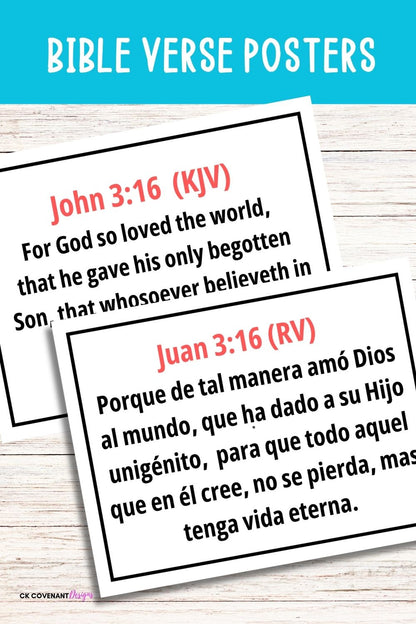 Spanish Bible Memory Fun Set - John 3:16