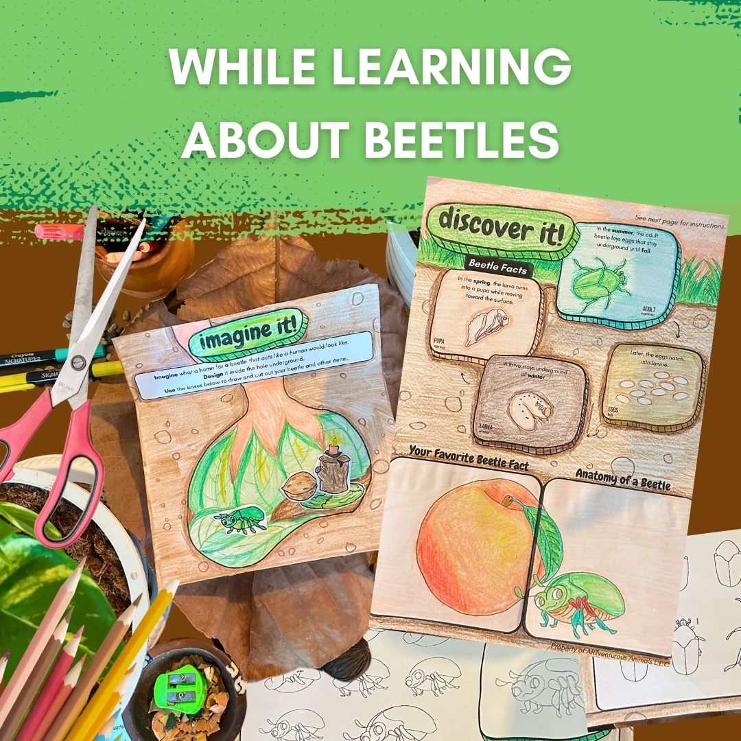 Beetle Art Journal: 7 Independent Art Activities That Teach Balance and Symmetry