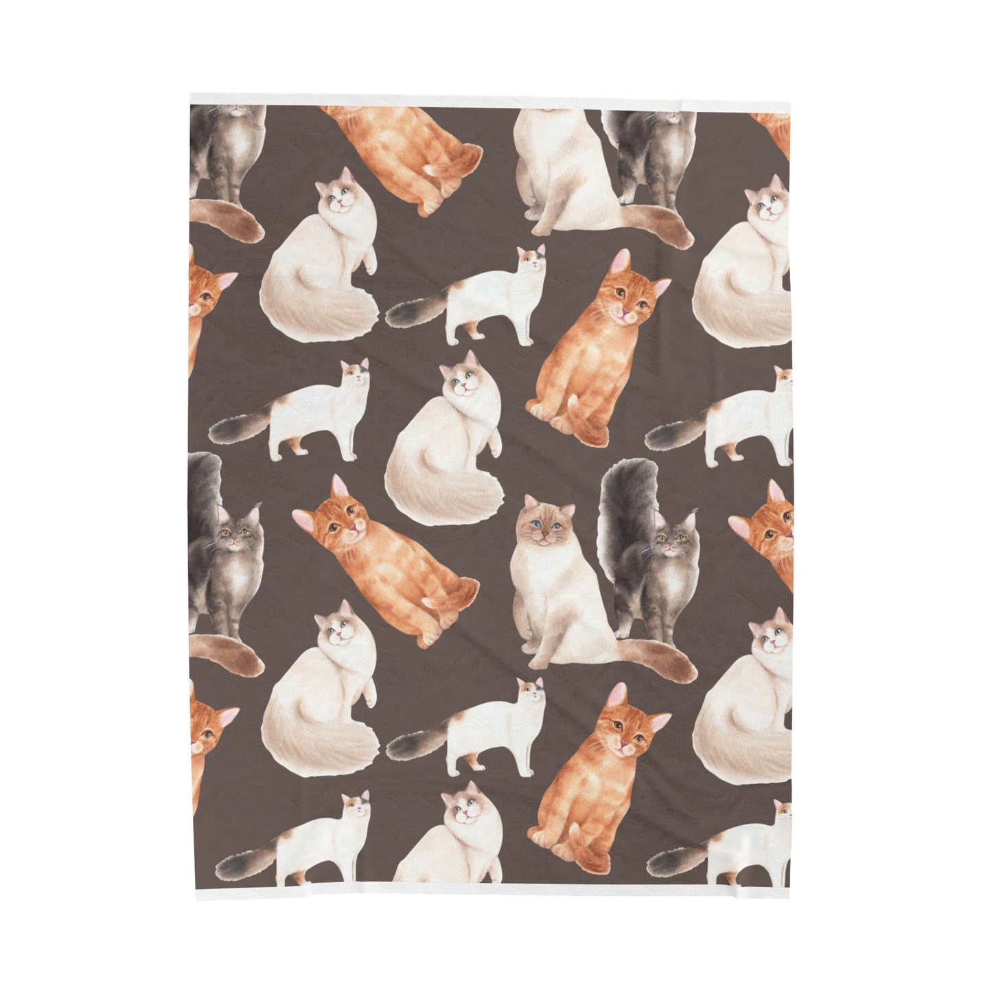 Pretty Cats Velveteen Plush Blanket