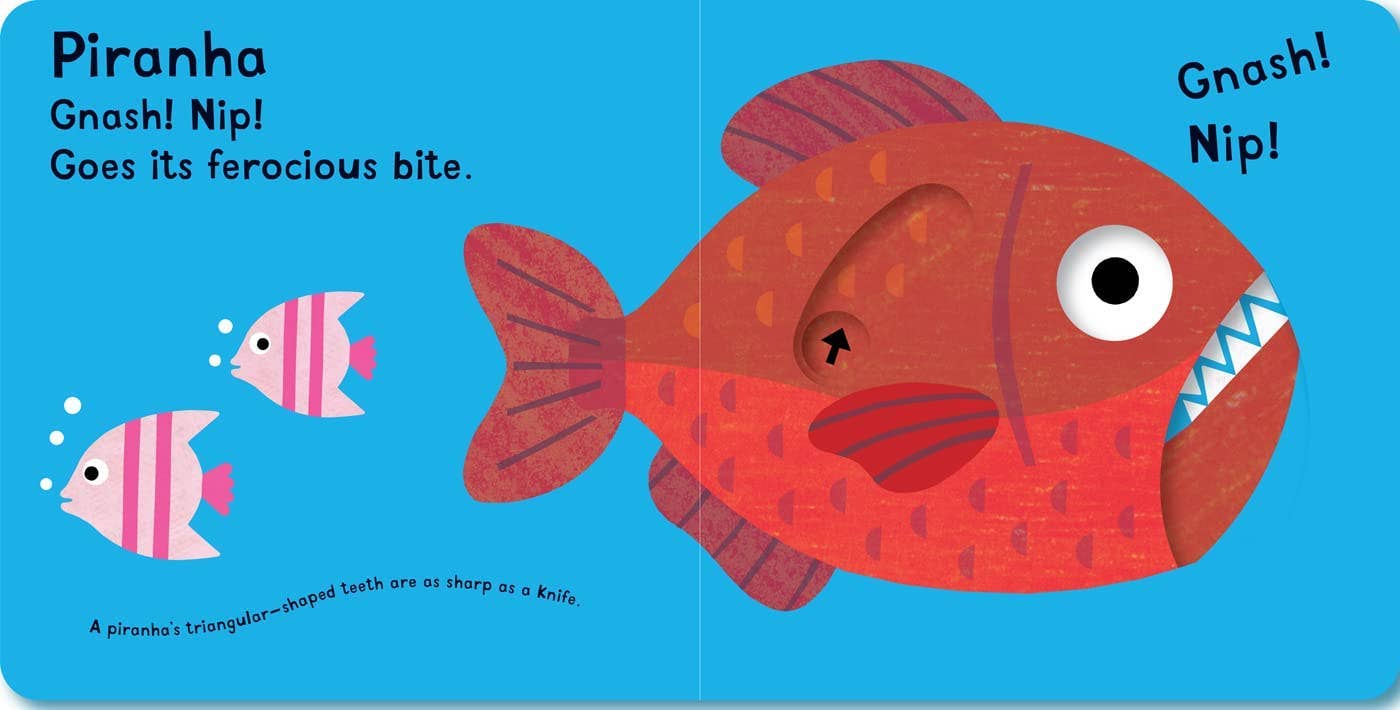 Snap! Snap! I’m a Crocodile!: Baby Board Book
