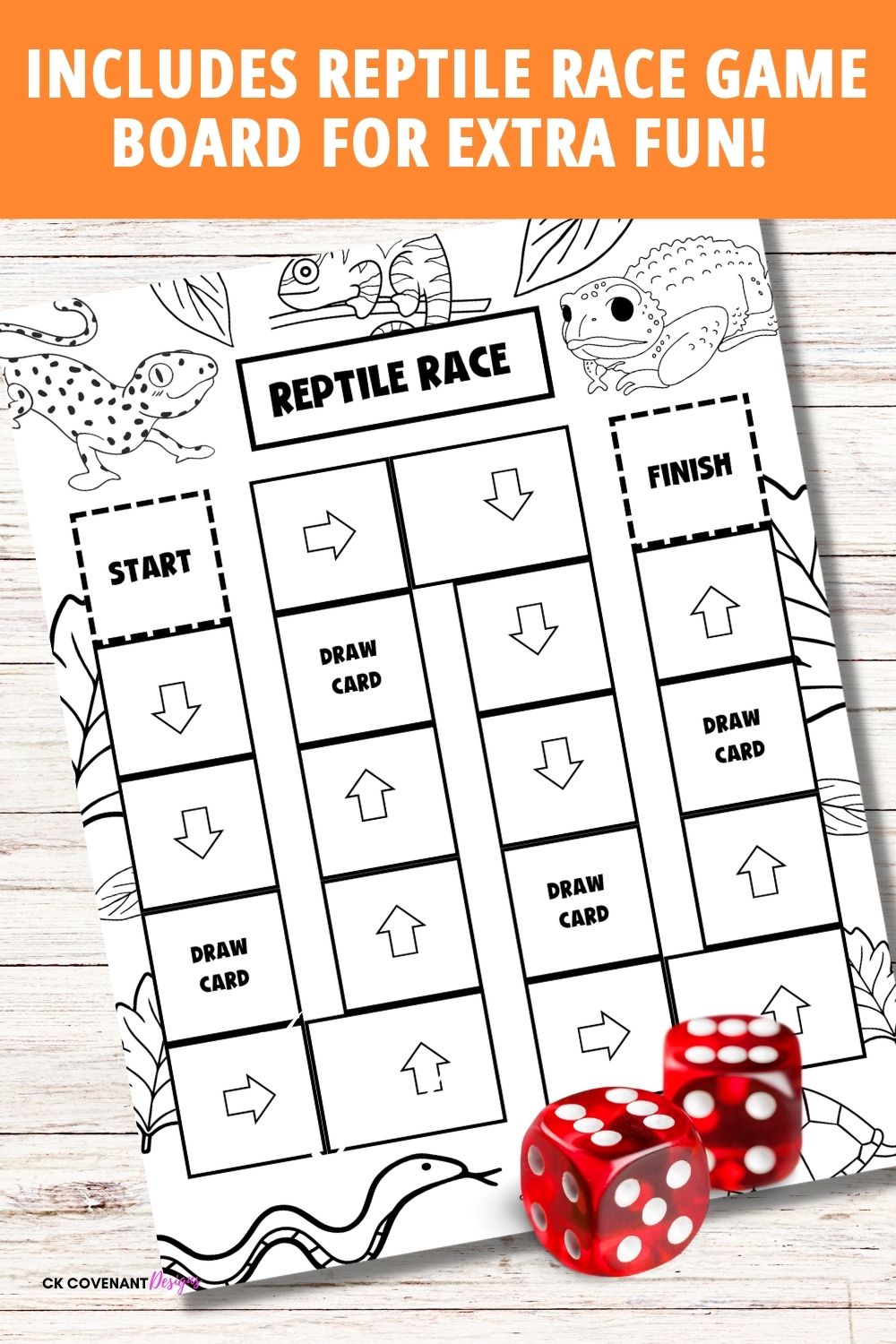 Reptile Activity Pack