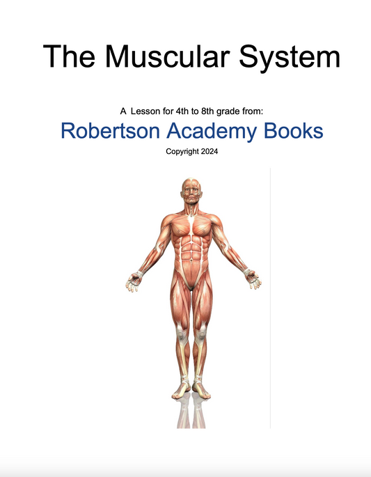 The Muscular System Lesson