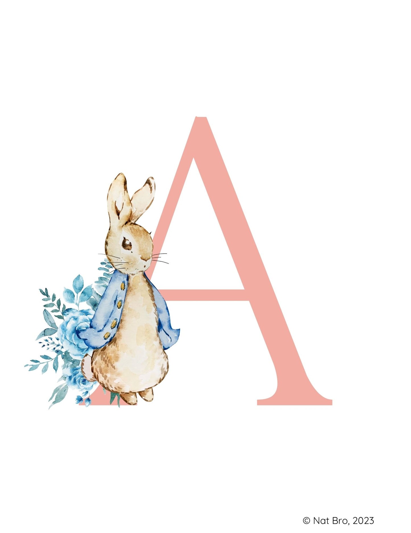 Peter Rabbit Alphabet and Numbers Flashcards