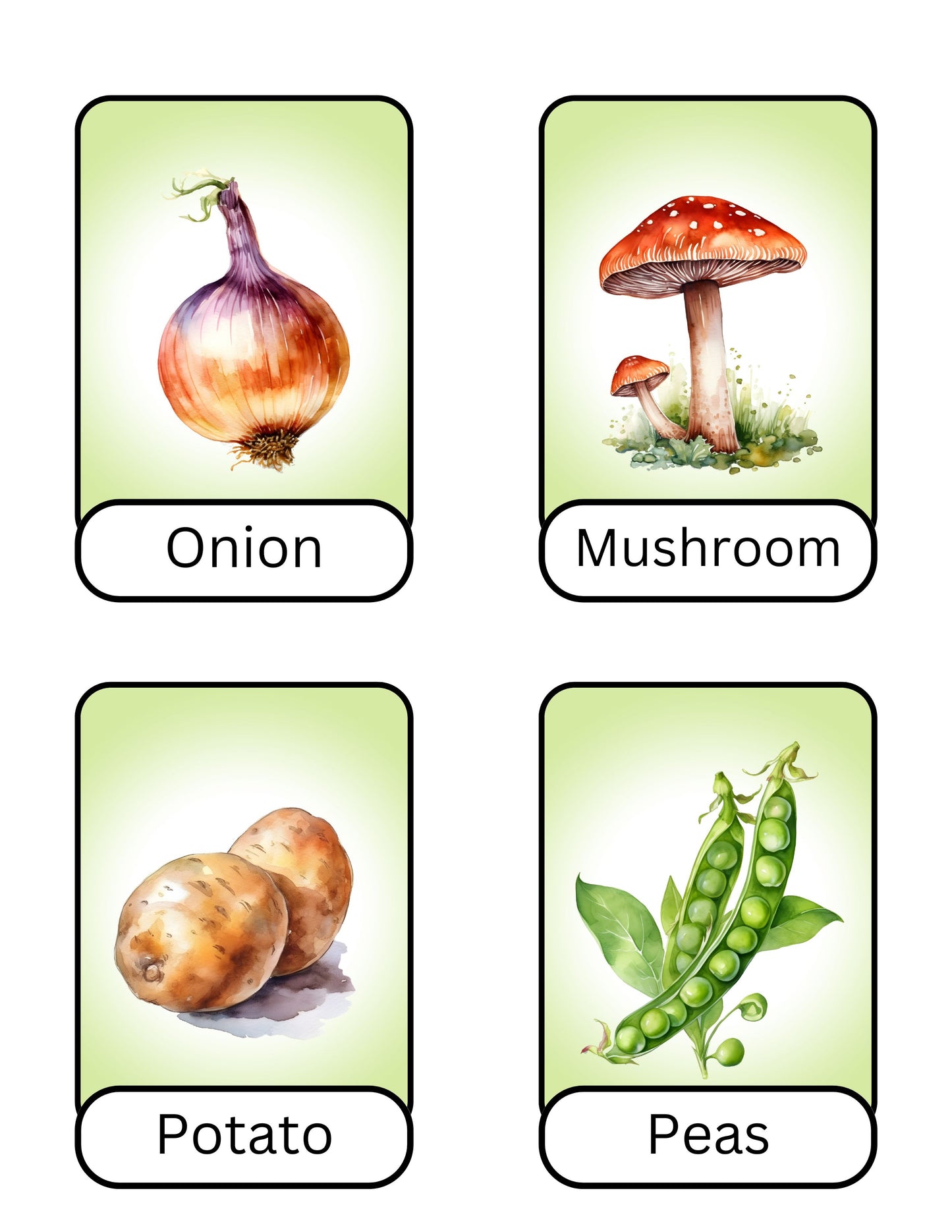 Vegetable Flashcards
