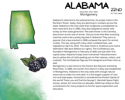 Our 50 States Full Unit Study: SOUTHEAST