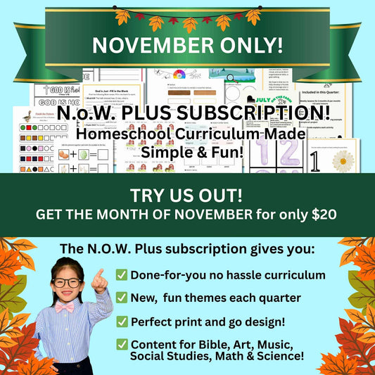 NoW Plus November Bundle!
