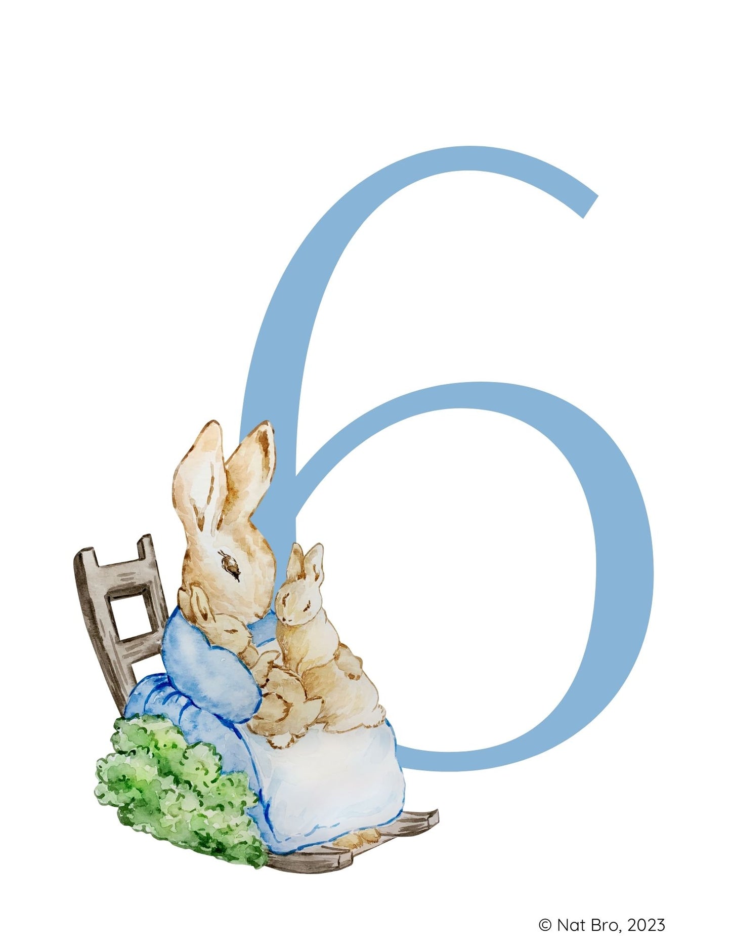 Peter Rabbit Alphabet and Numbers Flashcards