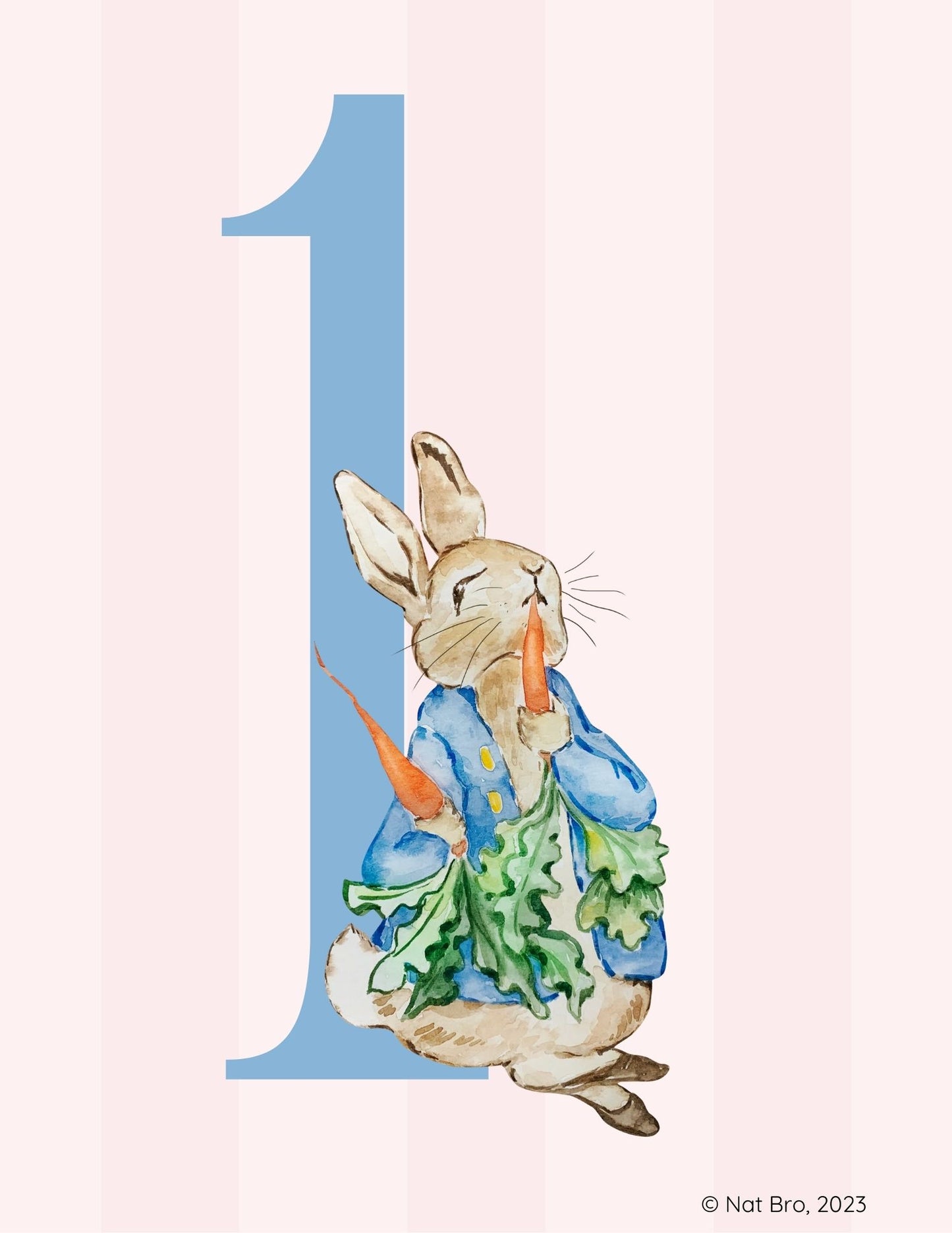 Peter Rabbit Alphabet and Numbers Flashcards