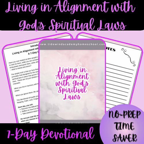 6890ffe243caa0180f947e31_1-thumbnail-cover-7-day-devotional-living-in-alignment-with-god-s-spiritual-laws_1759884212456.png