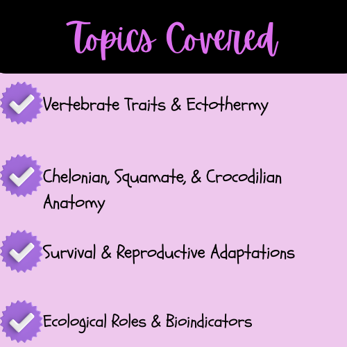 6890ffe243caa0180f947e31_3-topics-covered-reptiles-reading-passage-q-a-and-note-taking-sheets_1788832866168.png