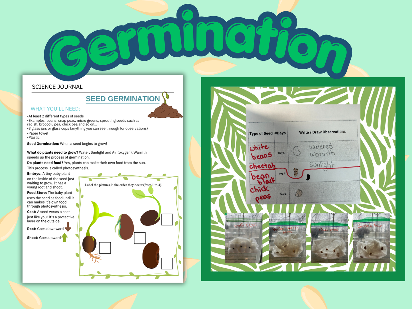 6890ffe243caa0180f947e31_tpt-thumbnails-30-_1782836746157.png