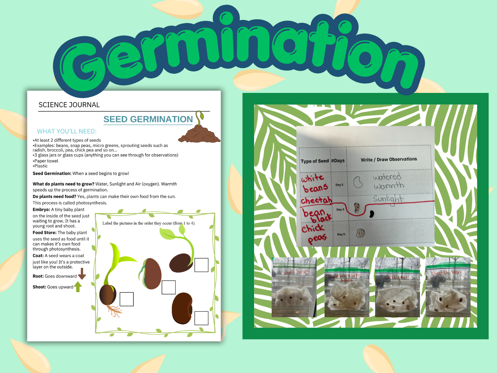6890ffe243caa0180f947e31_tpt-thumbnails-30-_1782836746157.png