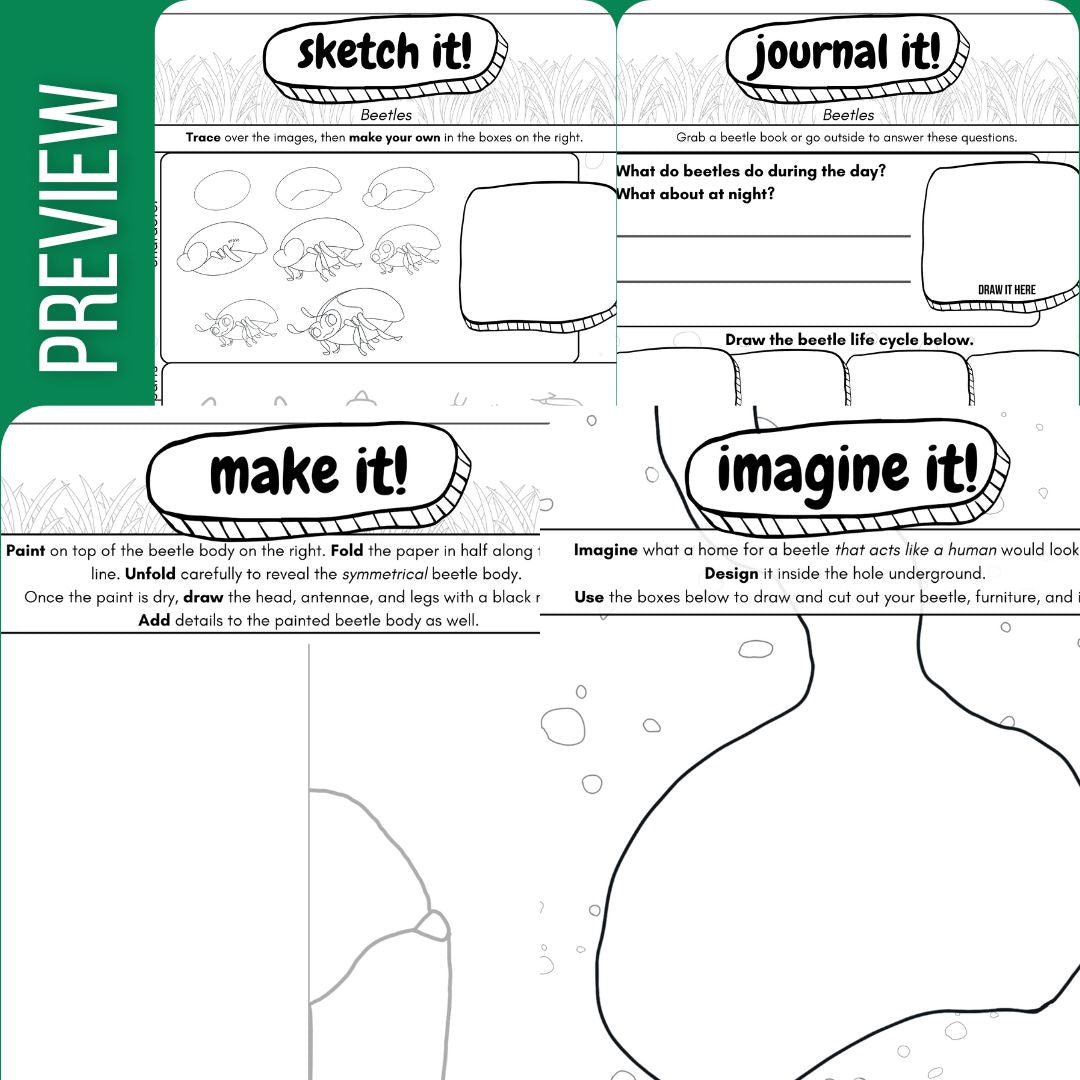 Beetle Art Journal: 7 Independent Art Activities That Teach Balance and Symmetry