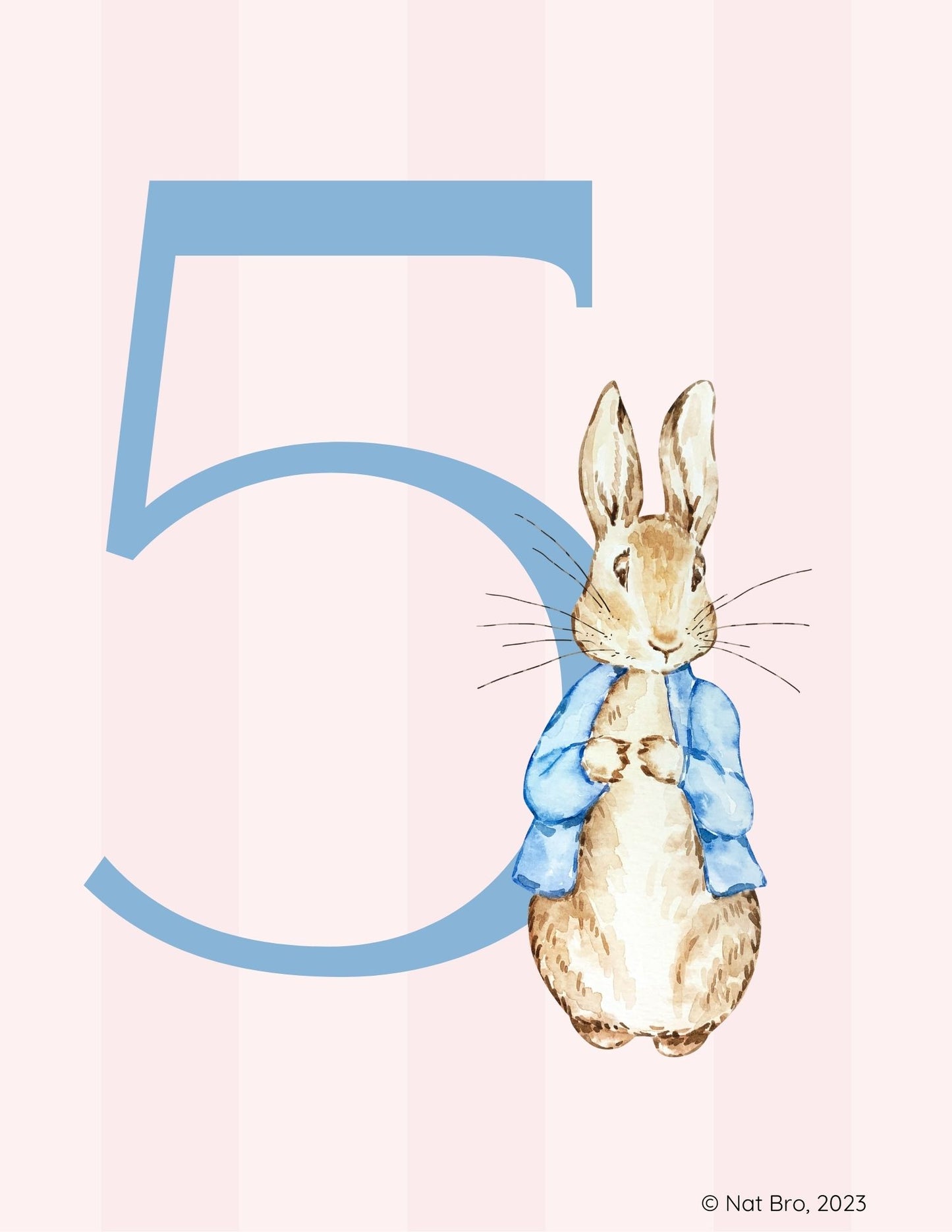 Peter Rabbit Alphabet and Numbers Flashcards