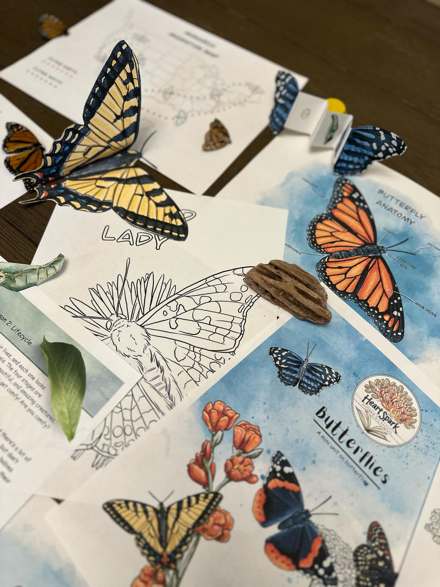 Butterflies Unit Study