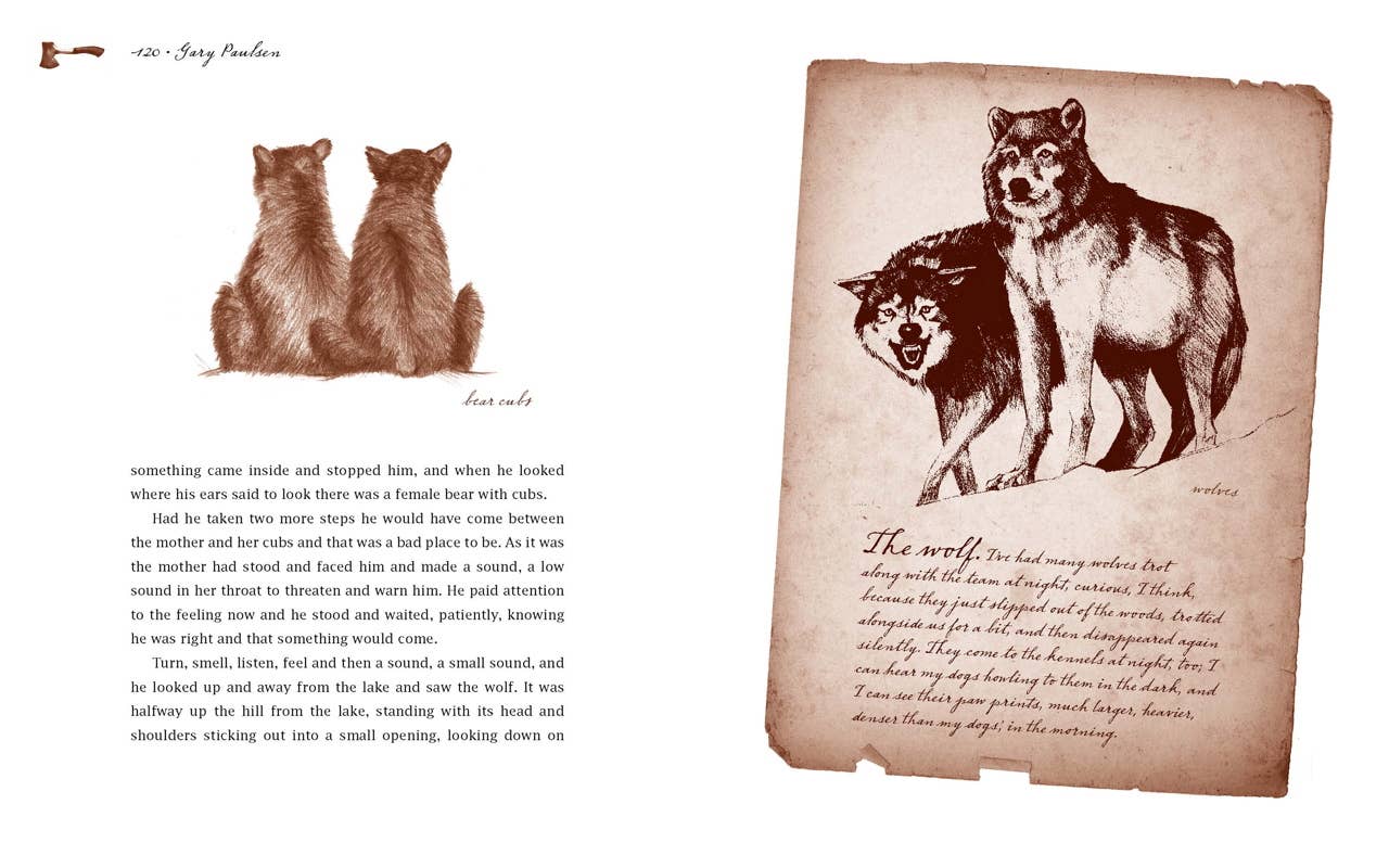 Hatchet by Gary Paulsen: Hardcover; 192 pages / English
