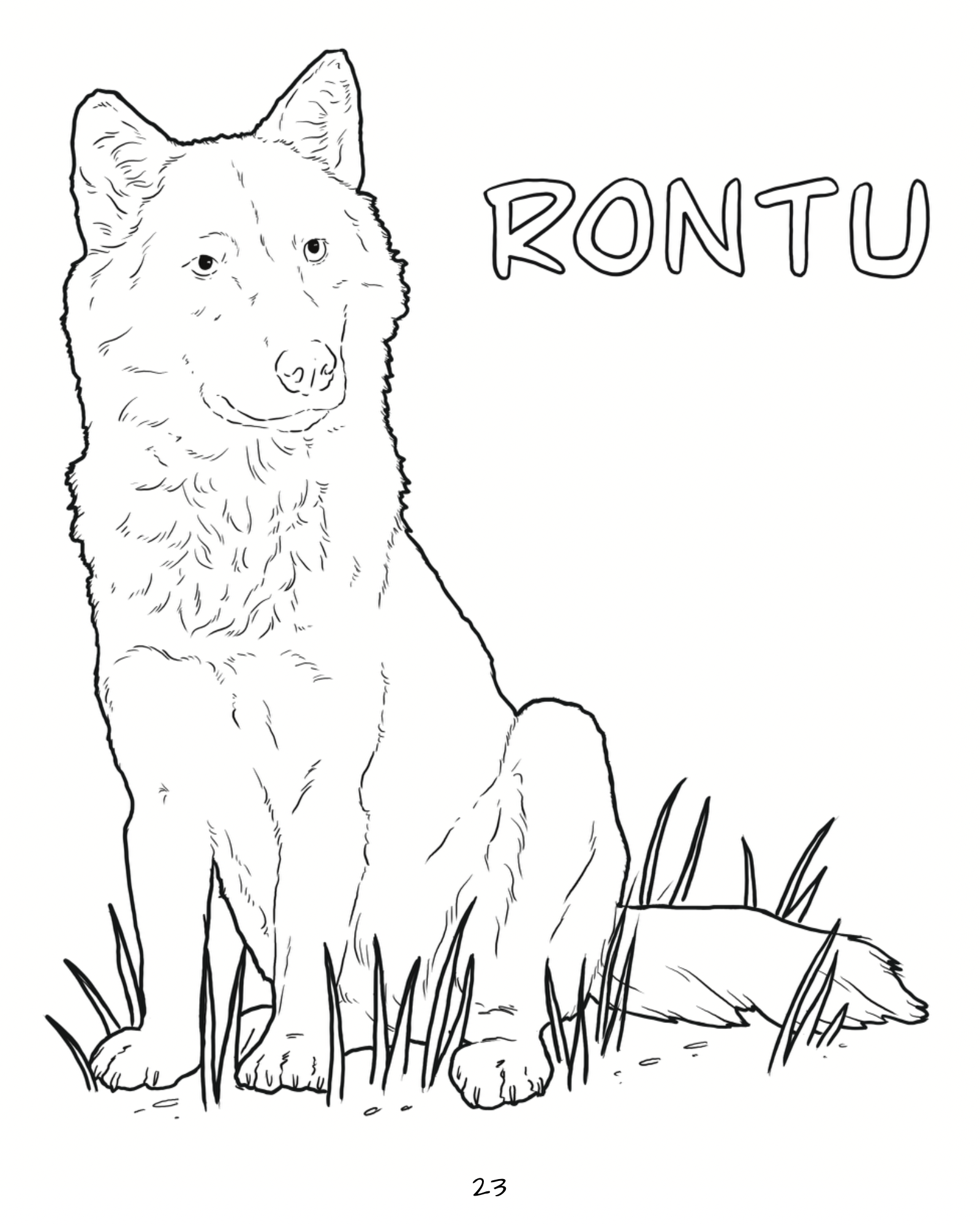 rontu from island of the blue dolphins
