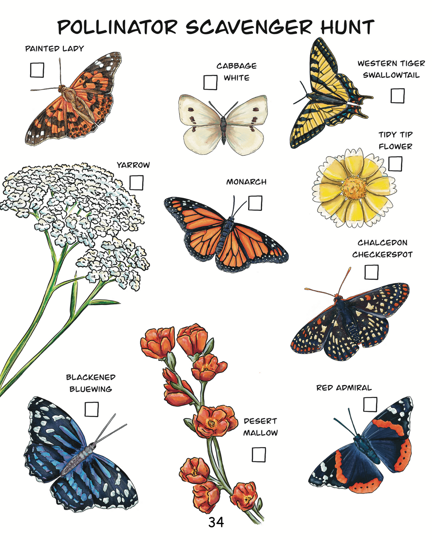 Butterflies Unit Study