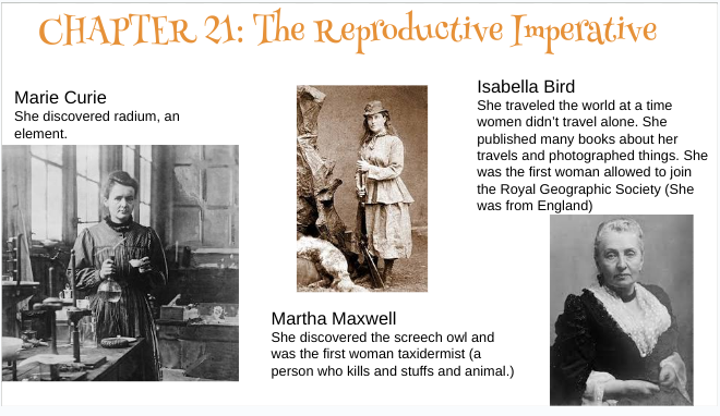 Evolution of Calpurnia Tate. 43 Slides of pictures, links & info!