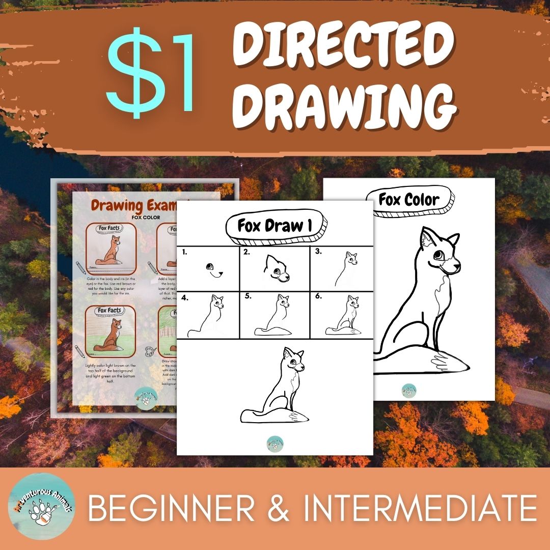 Fox Directed Drawing Worksheets and Coloring Page with Woodland Theme