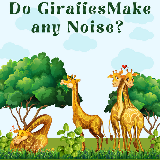 Reading Comprehension + Writing Prompt: Do Giraffes make any noise? for Grade 2