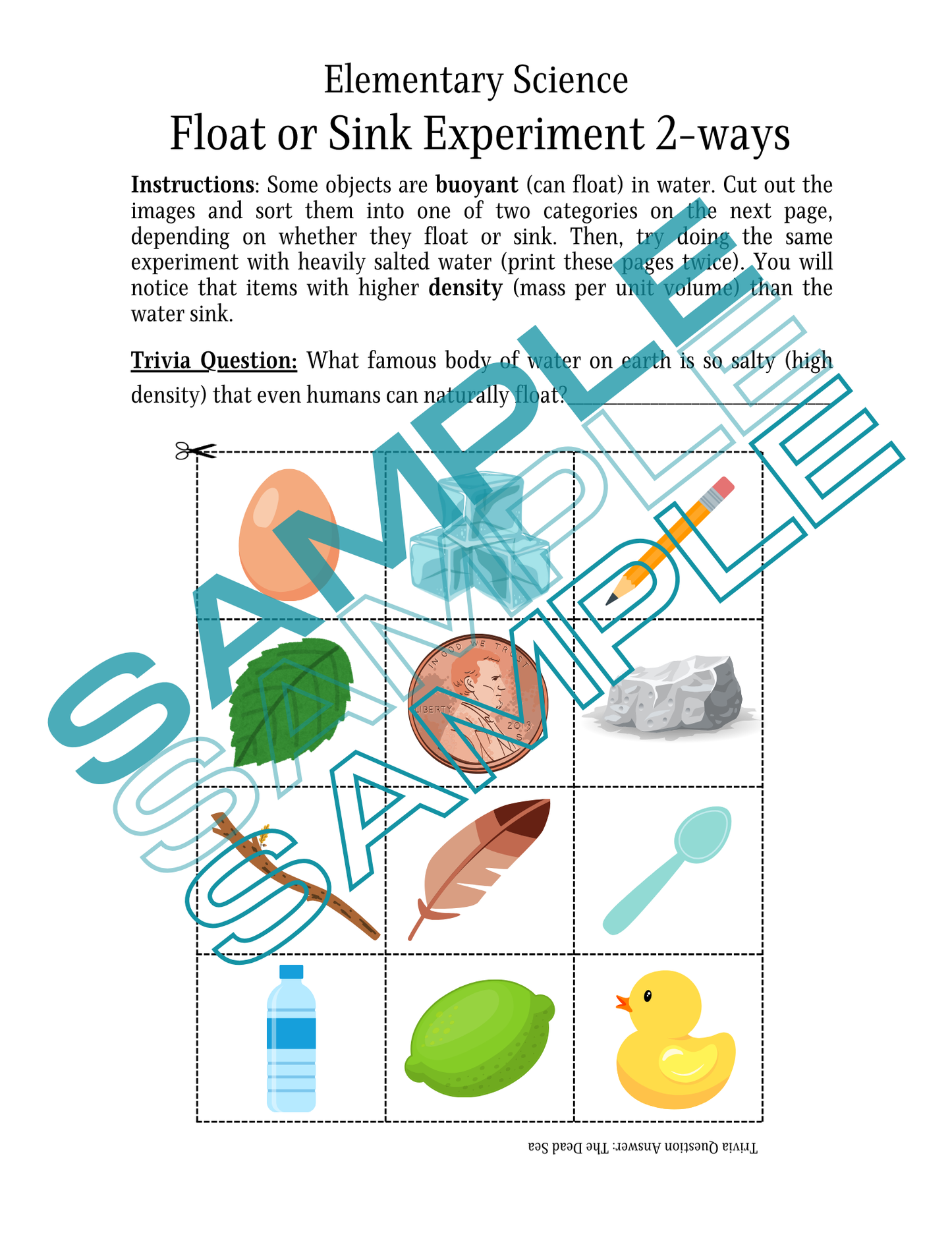 Elementary Science - Buoyancy and Density: Digital Product