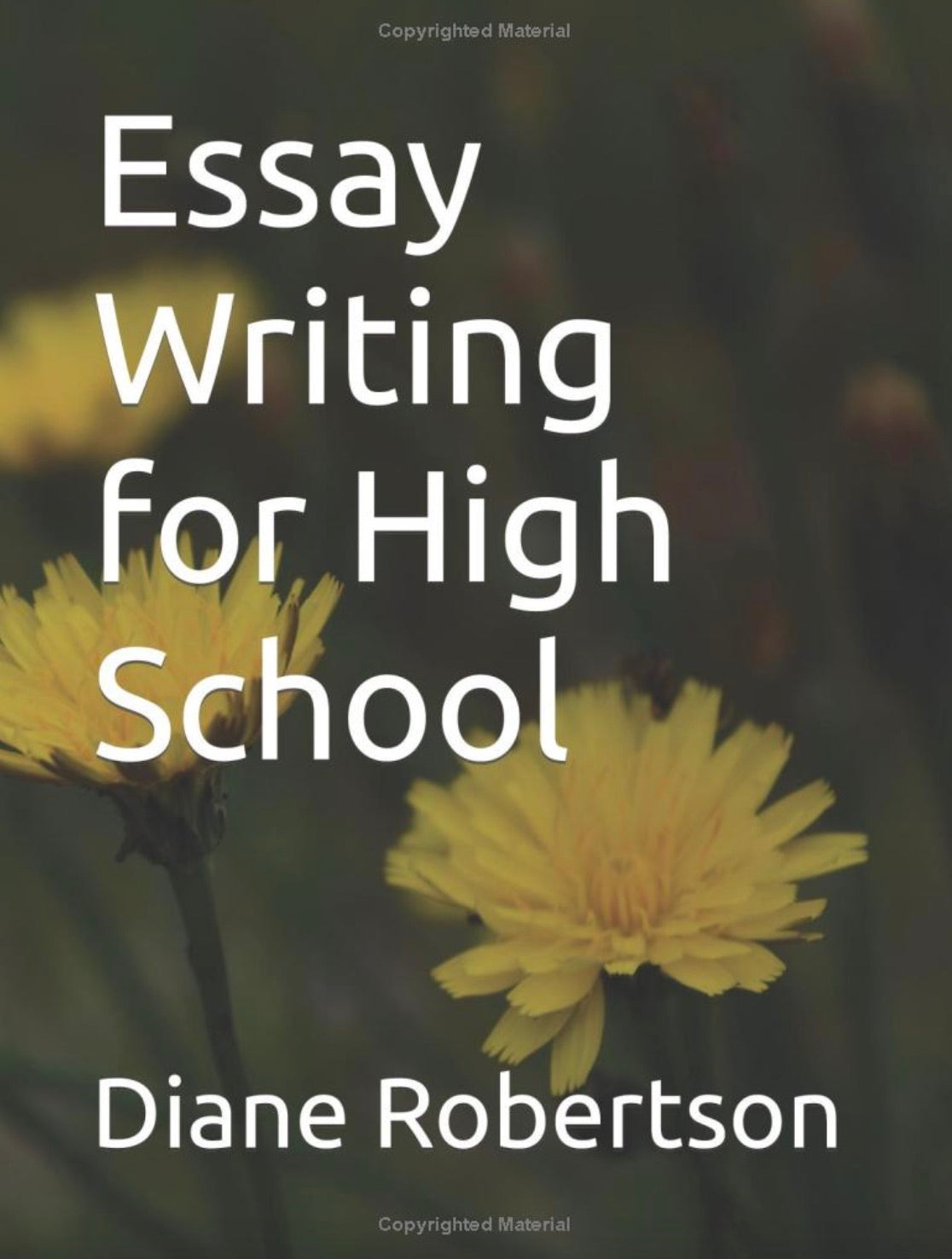 Essay Writing For High School