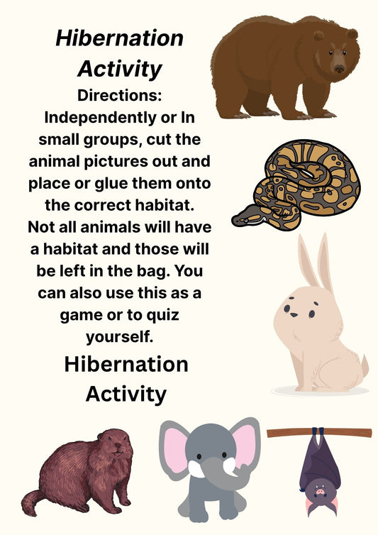Hibernation Station Activity Bundle