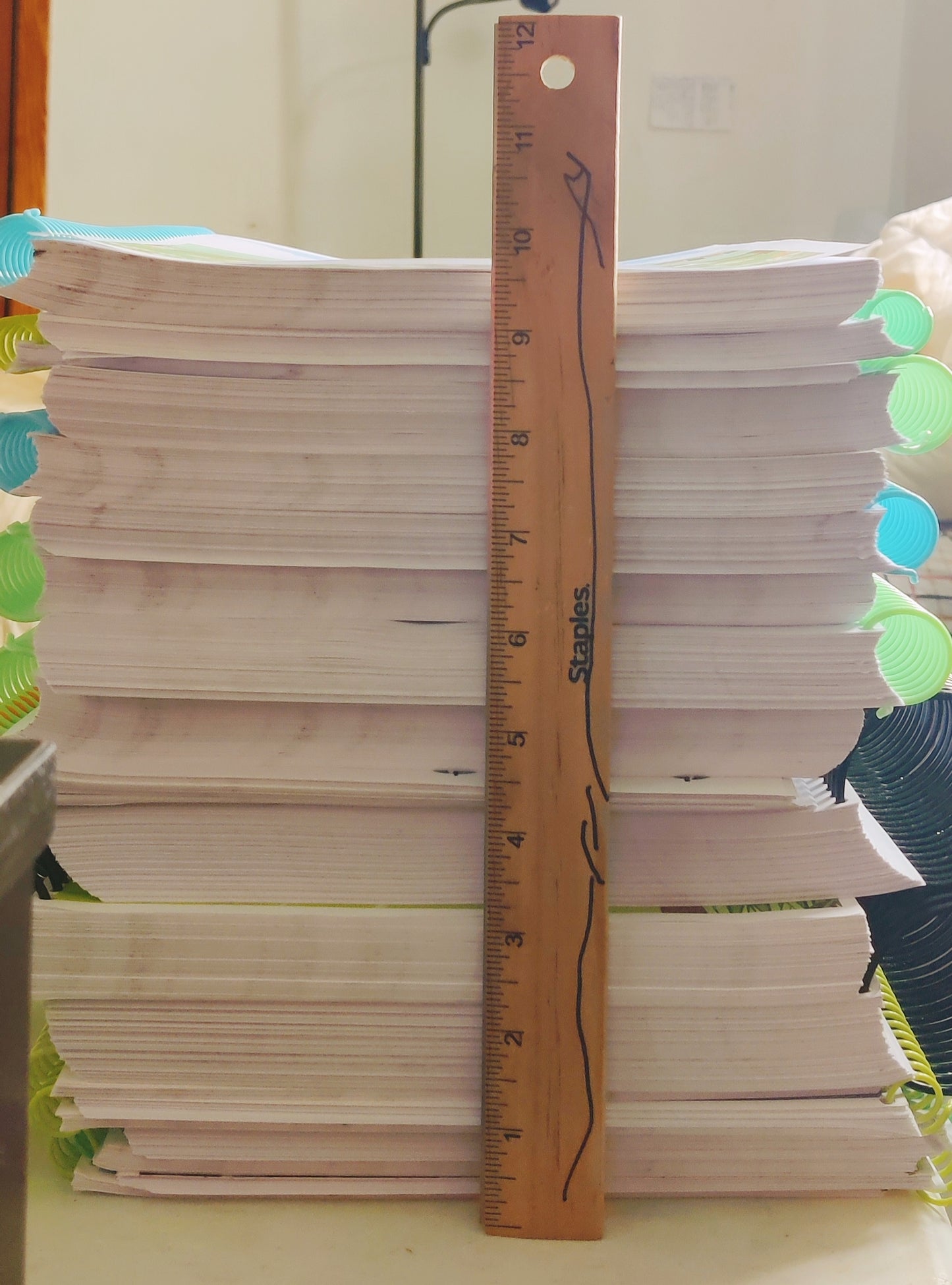 NoW Plus 36-Week Curriculum Bundle!