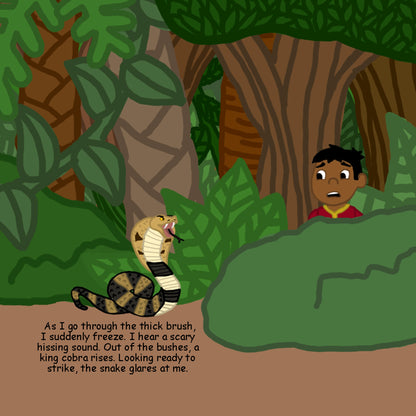 Jungle Journey Before Jalebi