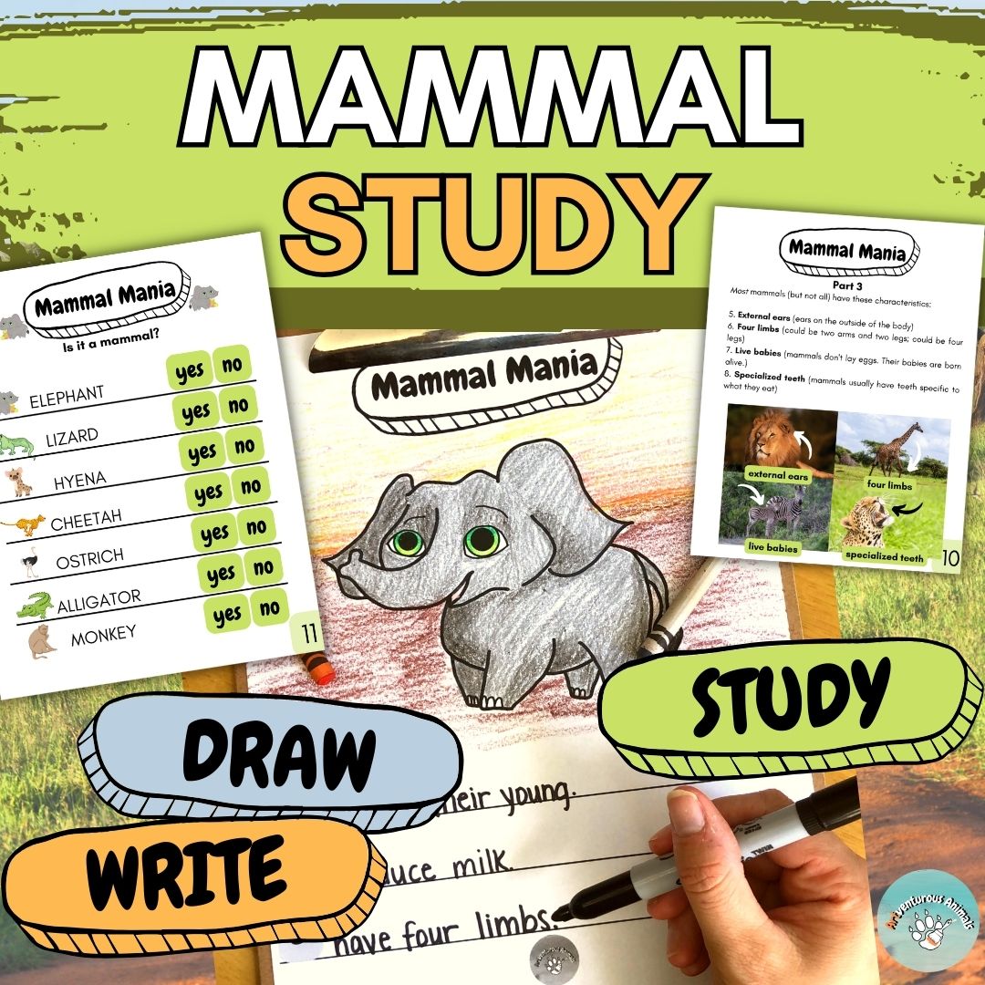 Mammal Study: Activities and Worksheets through Art, Writing, Reading, and Science