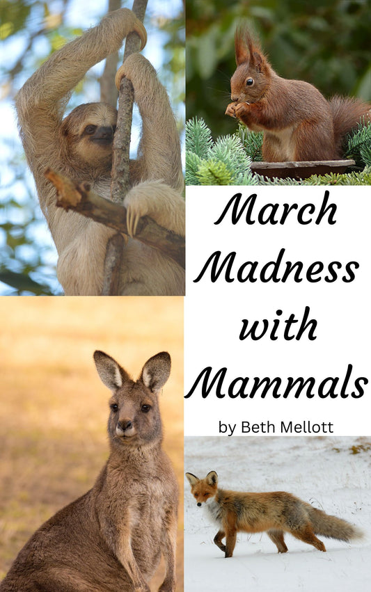 March Madness with Mammals