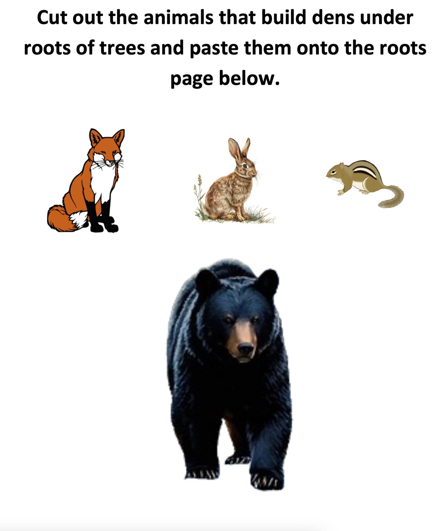 North American Animals that Live in Trees