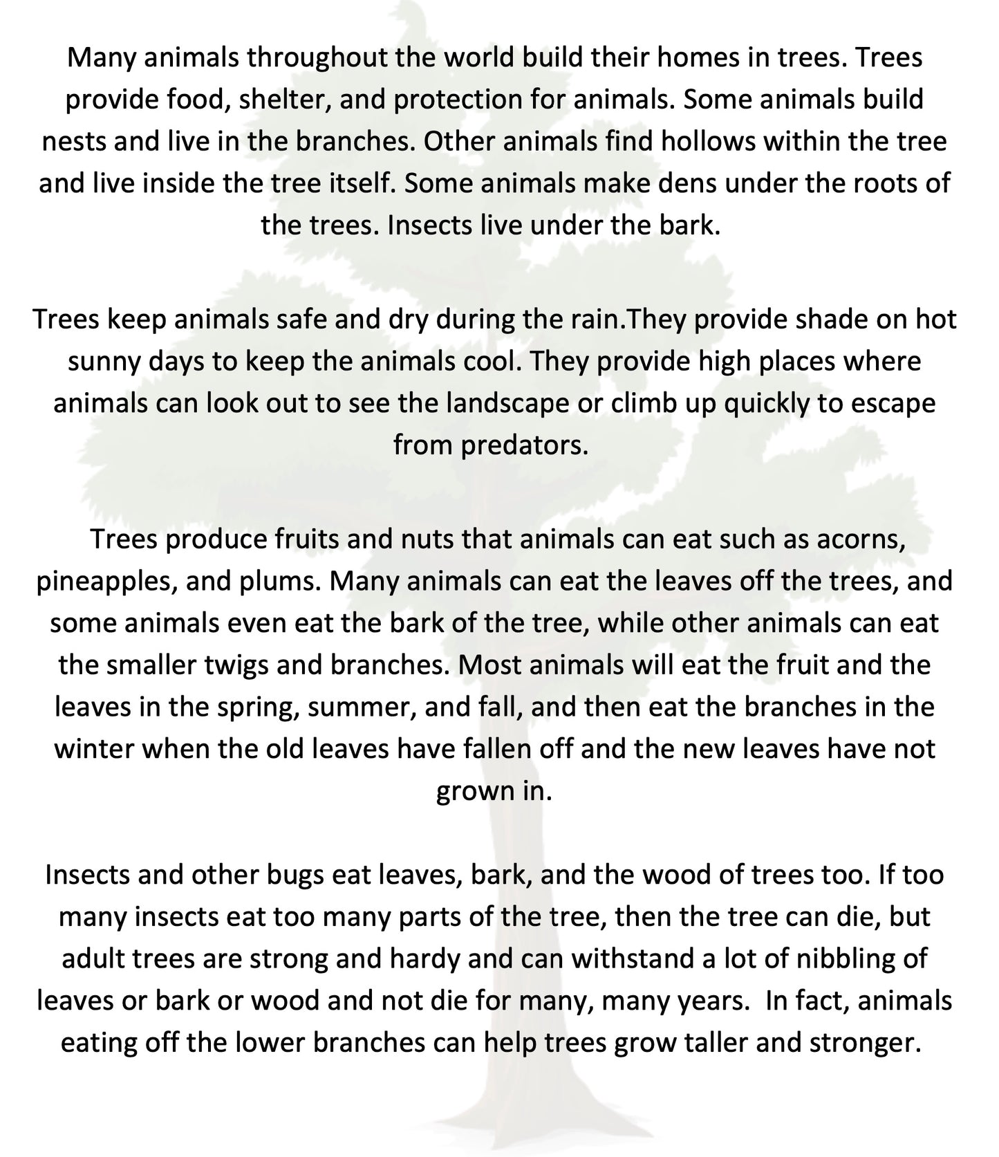 North American Animals that Live in Trees