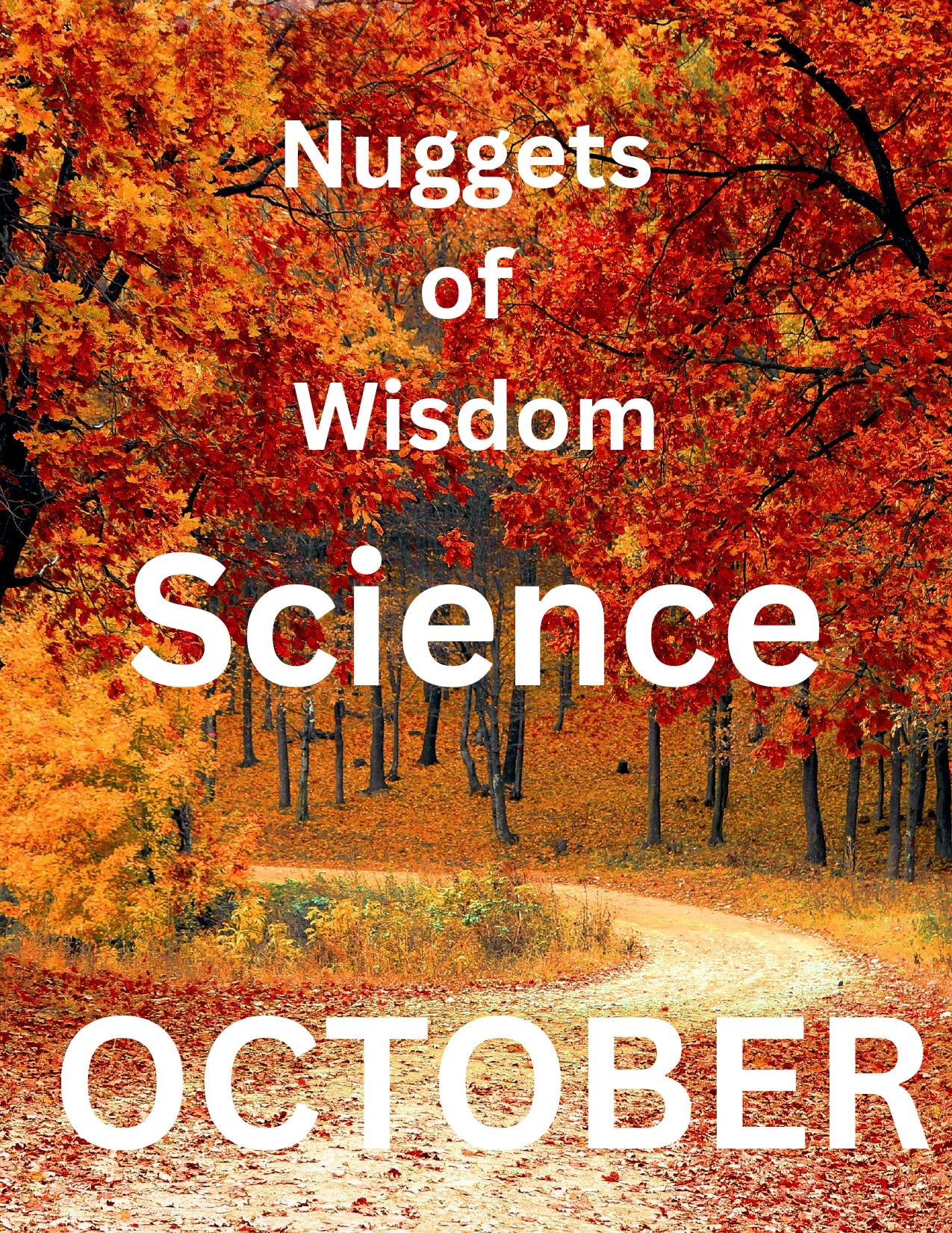 NoW Plus October Bundle!