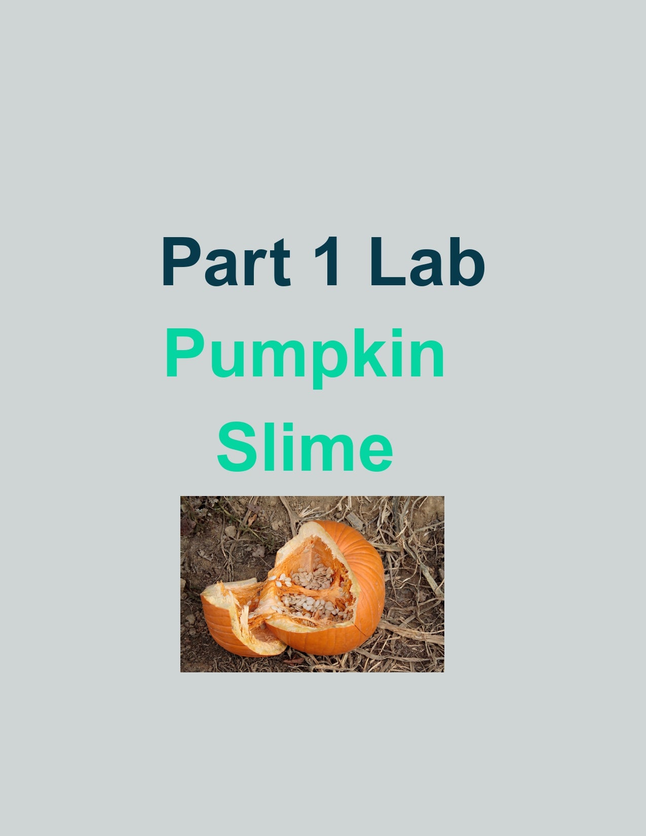 NoW Plus October Bundle!